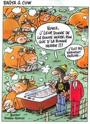 de la bonne herbe ...